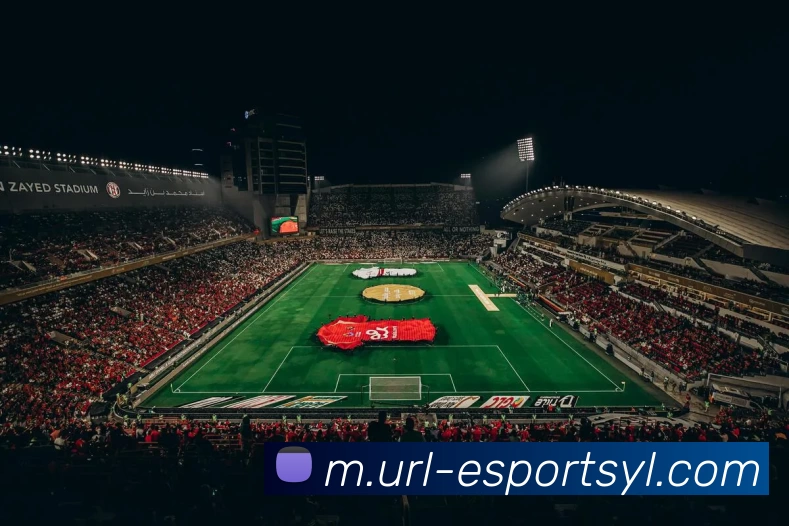 电竞APP服务体系